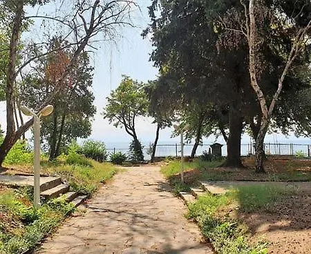 Oasis Park - New Managment 3* נסבר