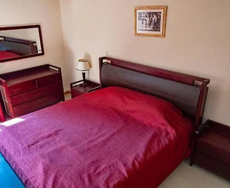 Oasis Park - New Managment 3* 内塞伯尔