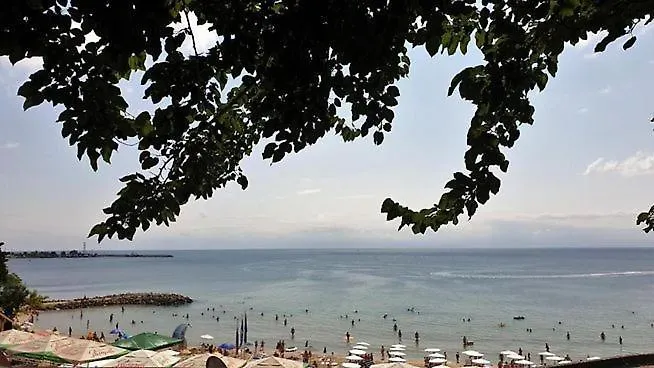 Oasis Park - New Managment Szálloda